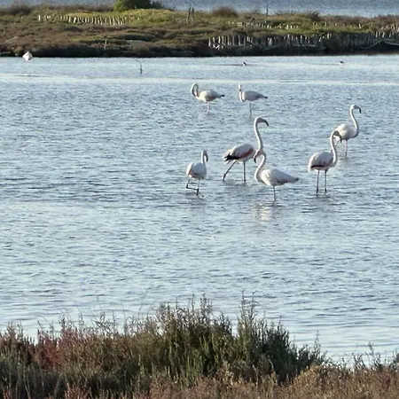 アパート Via Roma House *