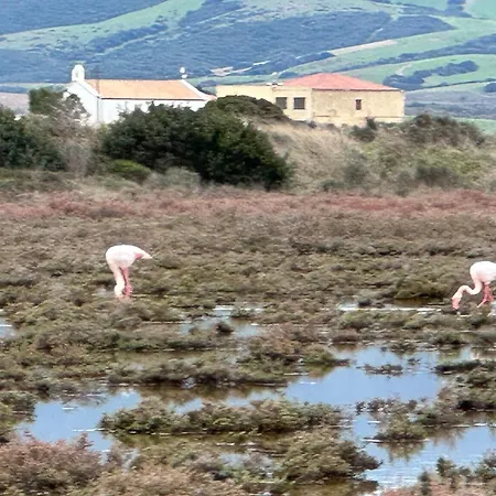 Via Roma House アパート Terralba